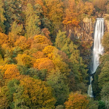 Odli Glamping - Deri Lägenhet Welshpool Exteriör bild