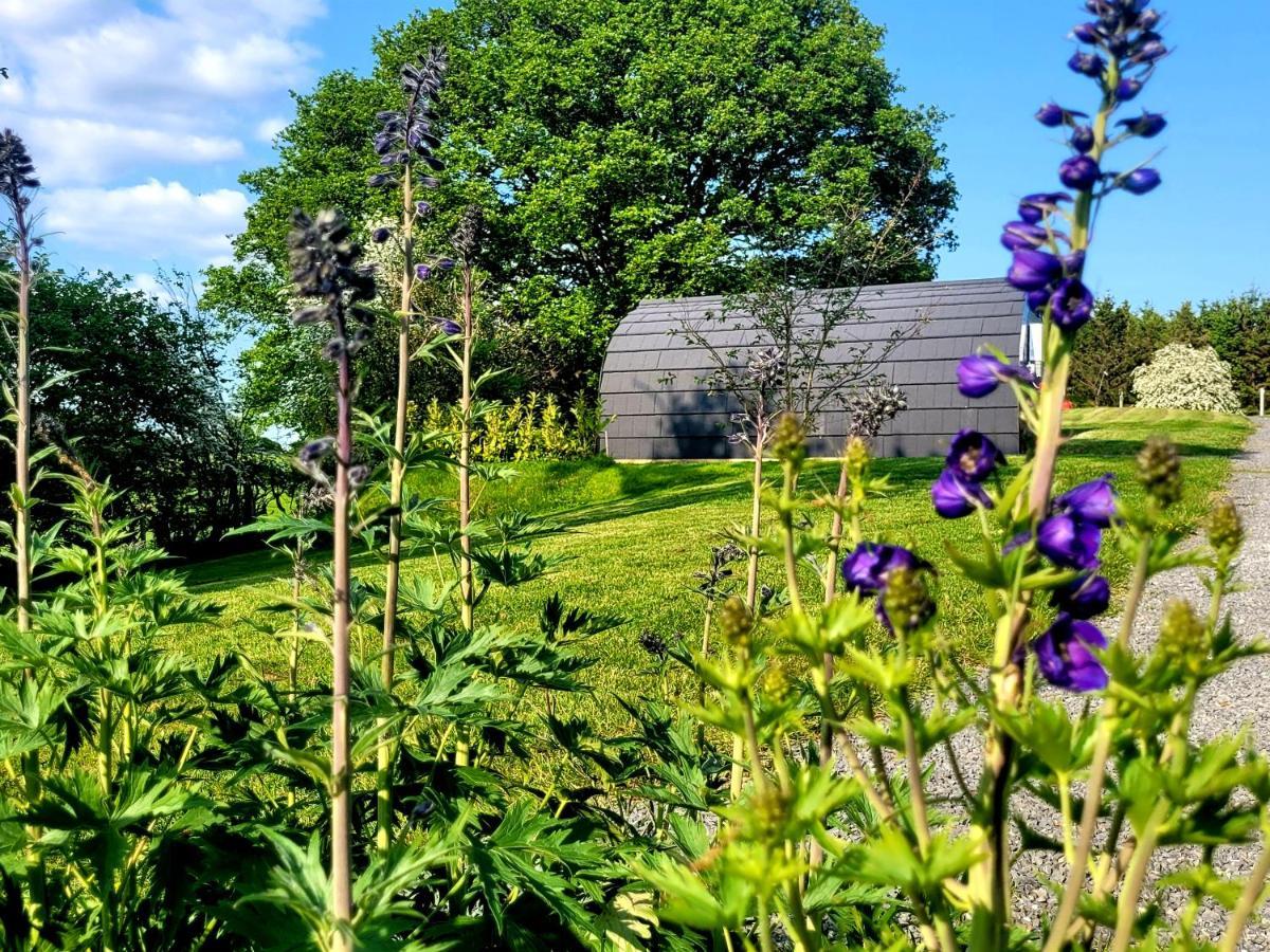 Odli Glamping - Deri Lägenhet Welshpool Exteriör bild
